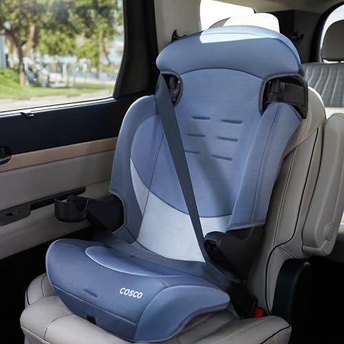 Cosco Kids Finale DX 2-in-1 Booster Car Seat, Forward Facing Toddler Car Seat (40-65 lbs) and Belt Positioning High Back Booster (40-100 lbs), Organic Waves