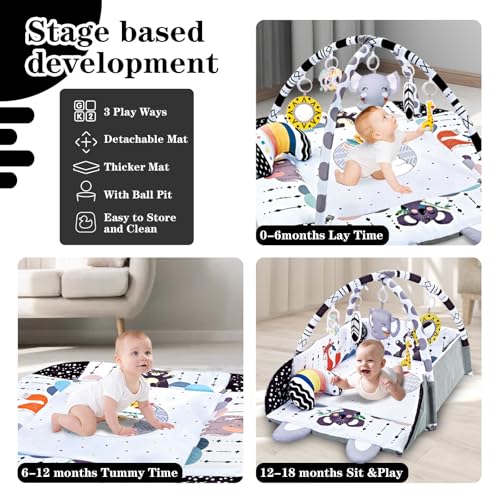 TFDER Baby Gym Play Mat, 8-in-1 Tummy Time Mat & Activity Gym, Washable Ball Pit, Infant Play Mat with Detachable Toys for Sensory Exploration and Motor Skill Development