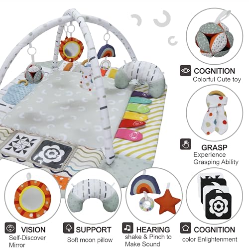 Aila+Aiden Baby Gym Play Mat, 8-in-1 Tummy Time Mat & Activity Gym, Washable Ball Pit, Infant Play Mat with Detachable Toys for Sensory Exploration and Motor Skill Development