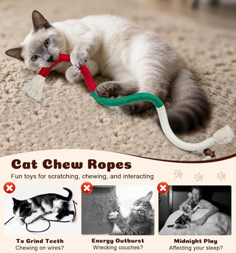 Dgerp Cat Chew Ropes 4Pcs, Cat Toys for Indoor Cats with Refillable Natural Catnip, Safe Teeth Cleaning Chew Toys, Interactive Kitten Nip Toys and All Breeds (19.5 Inches)