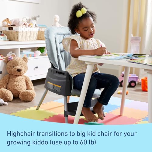 Graco Made2Grow 5-in-1 Convertible Highchair Adjustable Baby to Toddler Seat, Hudson