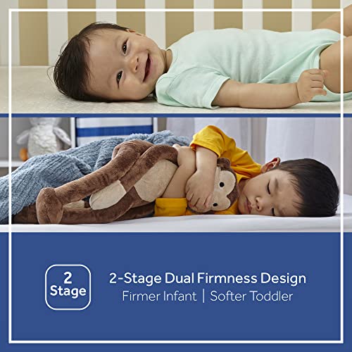 Sealy Baby Firm Rest Infant Crib Mattress - 2-Stage, 204 Coils, Breathable and Waterproof, GREENGUARD Gold Certified