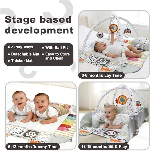 Aila+Aiden Baby Gym Play Mat, 8-in-1 Tummy Time Mat & Activity Gym, Washable Ball Pit, Infant Play Mat with Detachable Toys for Sensory Exploration and Motor Skill Development