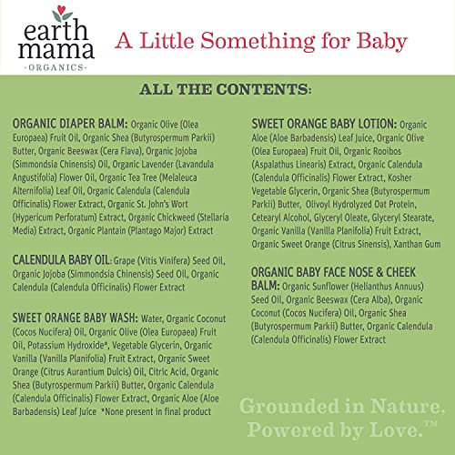 Earth Mama A Little Something for Baby Gift Box |Safe Skin Care Set Newborn Essentials for Baby Shower- Diaper Balm, Face Balm, Calendula Baby Oil, Baby Wash, Baby Lotion, 5 Pieces