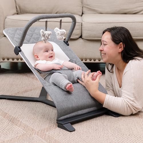 Baby Delight Alpine Deluxe Portable Bouncer | Infant | 0 – 6 months | Charcoal Tweed