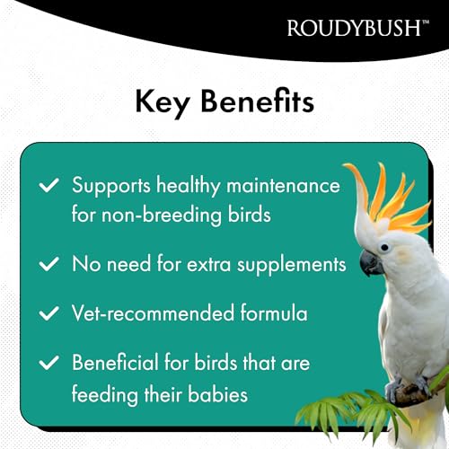 RoudyBush Squab Diet for Doves & Pigeons, Daily Food for Baby Birds, Crop Milk Replacement Formula for Baby Doves & Pigeons, Formulated Nutrition for Days 7-14, Hand Feeding Mix for Squabs, 1 Pound