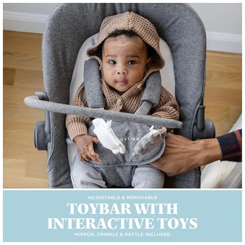 Baby Delight Bloom Baby Seat | Soothing and Adjustable Baby Chair | Portable and Compact | Charcoal Tweed