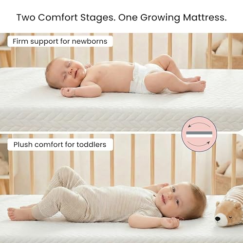 Dream On Me Baby Zzz 5” Full-Size Crib & Toddler Bed Mattress in a Box – GREENGUARD Gold & BSA Certified, Breathable, Water-Resistant, Machine Washable Cover, (52" L x 28" W x 5" H)