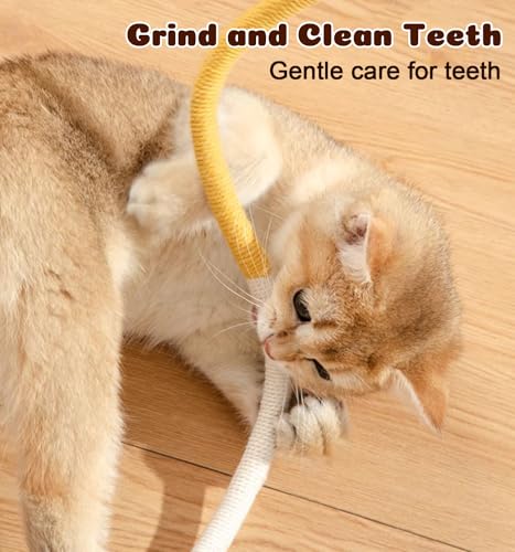 Dgerp Cat Chew Ropes 4Pcs, Cat Toys for Indoor Cats with Refillable Natural Catnip, Safe Teeth Cleaning Chew Toys, Interactive Kitten Nip Toys and All Breeds (19.5 Inches)