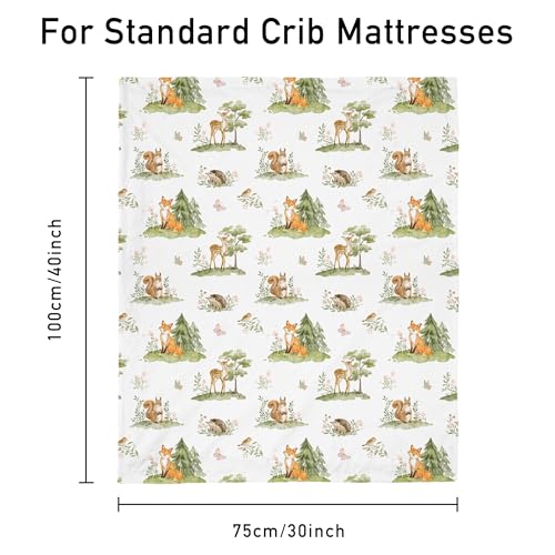Civarua Kids Baby Blanket for Boys Girls, Super Soft Double Layer Minky Dot Blanket with Woodland Animals, 30x40 Inch Lightweight Dotted Backing for Infant Toddler Nursery Crib, Sensory Security Throw