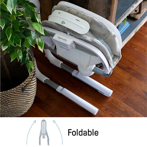 Ingenuity Anyway Sway 5-Speed Multi-Direction Portable Foldable Baby Swing & Infant Seat with Vibrations, Nature Sounds, 0-9 Months 6-20 lbs (Ray)