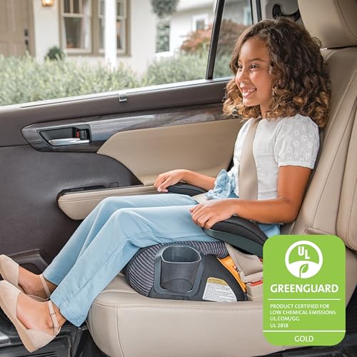 Chicco GoFit ClearTex Plus Backless Booster Car Seat, Latch Attachment, Quick-Release Latch Removal, Portable Car Booster Seat for Children at Least 4 Years Old and 40-110 lbs, Obsidian/Black
