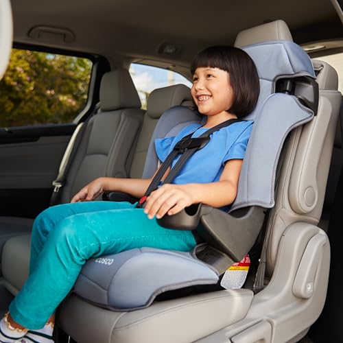 Cosco Kids Finale DX 2-in-1 Booster Car Seat, Forward Facing Toddler Car Seat (40-65 lbs) and Belt Positioning High Back Booster (40-100 lbs), Organic Waves