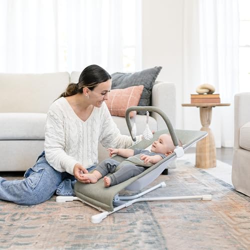 Baby Delight Highland Baby Bouncer | Infant | 0 – 6 Months | 3-Position Recline | Sage Tweed