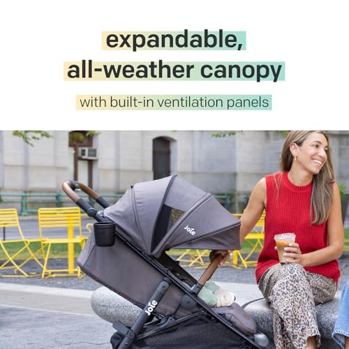 Joie Baby, Caraway Whirl Stroller & Mint Latch Car Seat - Baseless Car Seat & 360 Degree Wheel Travel System (Thunder)