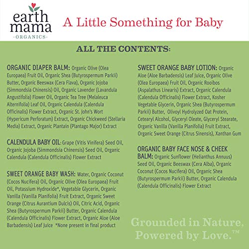 Earth Mama A Little Something for Baby Gift Box |Safe Skin Care Set Newborn Essentials for Baby Shower- Diaper Balm, Face Balm, Calendula Baby Oil, Baby Wash, Baby Lotion, 5 Pieces