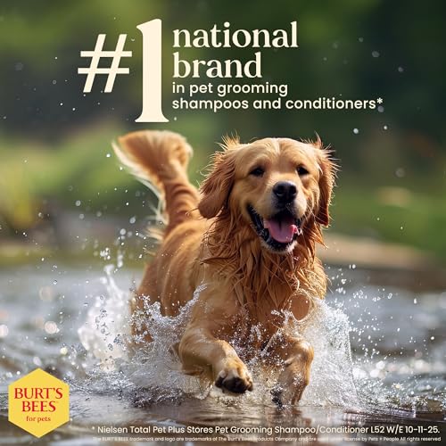 Burt's Bees for Pets Oatmeal Dog Shampoo with Honey, Soothing Formula for Itchy and Sensitive Dog Skin, Colloidal Oat Flour and Honey, pH Balanced, Sulfate-Free, 16 Fl Oz
