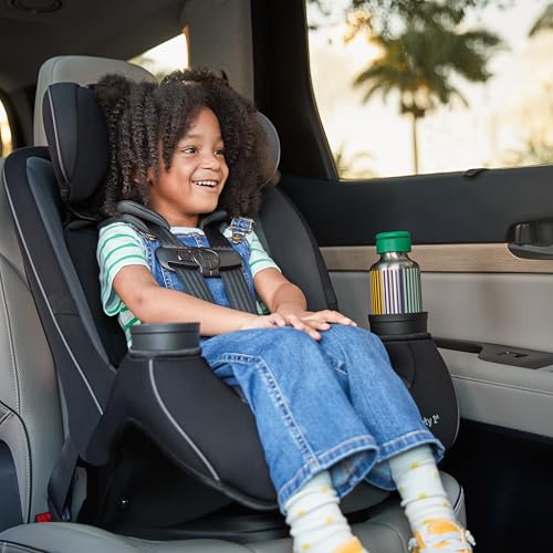Safety 1st Grow and Go All-in-One Convertible Car Seat, Rear Facing, 5-40 lbs, Forward Facing (30–65 lbs), High Back Booster Seat 40-100 pounds, Iron Frost