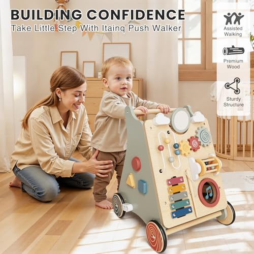 Baby Push Walker with Wheels for 6-12 Months Boys Girls, Walking Toys for 1 Year Old Learning to Walk