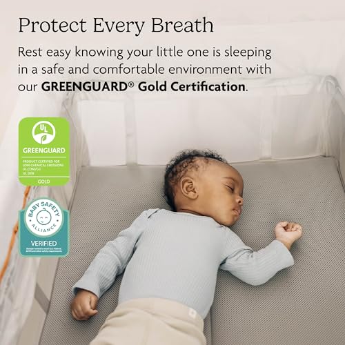 UPPAbaby Remi Playard | Deluxe 3-in-1 Portable Playard, Bedside Bassinet + Travel Crib| Mesh Bassinet, Mattress, Organic Cotton Mattress Cover + Storage Bag Included | Wells (Dark Taupe Mélange)