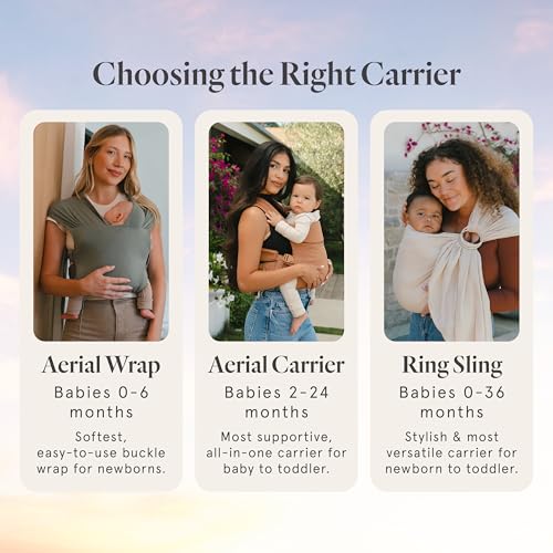 WildBird - Aerial Buckle Carrier - 2-24 Months - Standard (XS-XL) Acadian - Front or Back Carry - Cross Straps, Lumbar Support, Headrest - Hip Healthy - Baby Carrier - Baby Essentials - New Mom Gifts