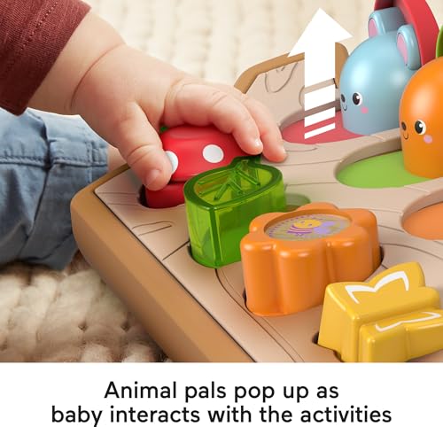 Fisher-Price Baby Toy Hide & Peek Pop-Up Animal-Themed Sensory Activity with Wood Accents & Sounds for Ages 9+ Months