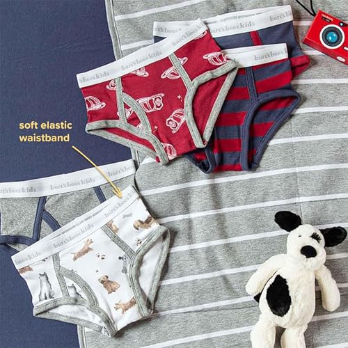 Burt's Bees Baby Toddler Boys' Underwear, Organic Cotton, Tag-Free Comfort Briefs, Pack of 5