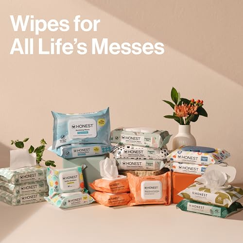 The Honest Company Clean Conscious Multi-Use Wipes | Hypoallergenic + Unscented for Sensitive Skin | Over 99% Water, Compostable, Plant Based, Baby Wipes | Geo Mood, 288 Count