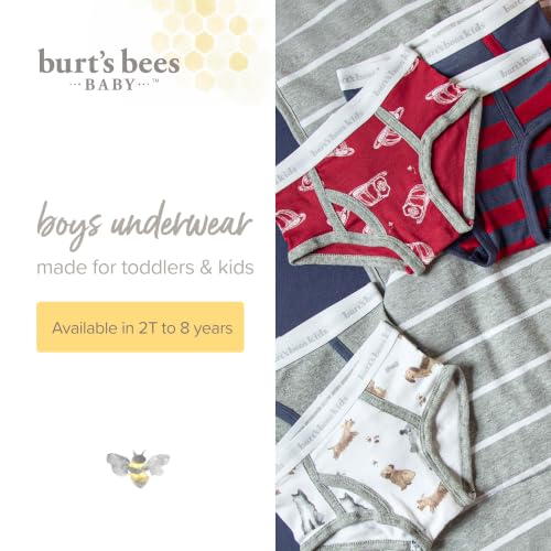 Burt's Bees Baby Toddler Boys' Underwear, Organic Cotton, Tag-Free Comfort Briefs, Pack of 5