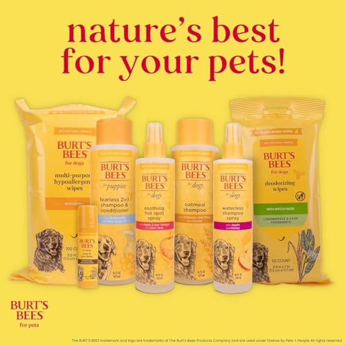 Burt's Bees for Pets Oatmeal Dog Shampoo with Honey, Soothing Formula for Itchy and Sensitive Dog Skin, Colloidal Oat Flour and Honey, pH Balanced, Sulfate-Free, 16 Fl Oz