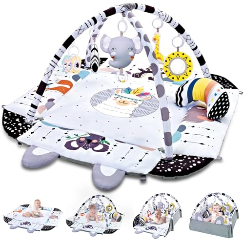 TFDER Baby Gym Play Mat, 8-in-1 Tummy Time Mat & Activity Gym, Washable Ball Pit, Infant Play Mat with Detachable Toys for Sensory Exploration and Motor Skill Development