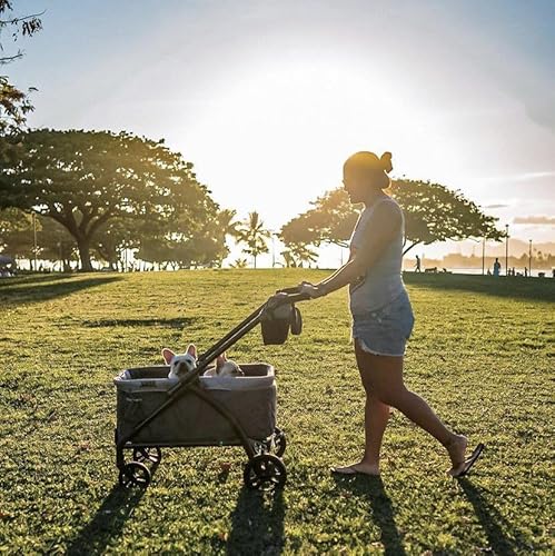 Baby Trend Expedition/Tour LTE 2-in-1 Stroller Wagon, Desert Blue